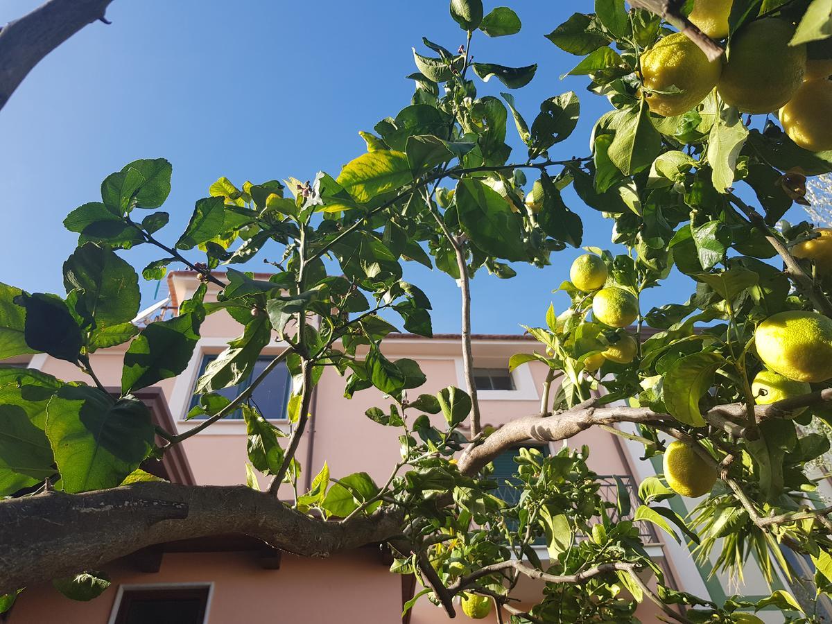 Hotel La Casa Di Paolo Casa Di Charme Marina di Camerota Exterior foto